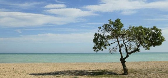 Las playas de Moncofa destaca por la calidad de su agua