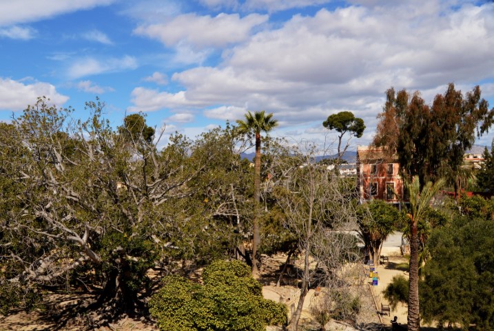 Vista panorámica de la finca La Concepción en Sant Joan d'Alcant 