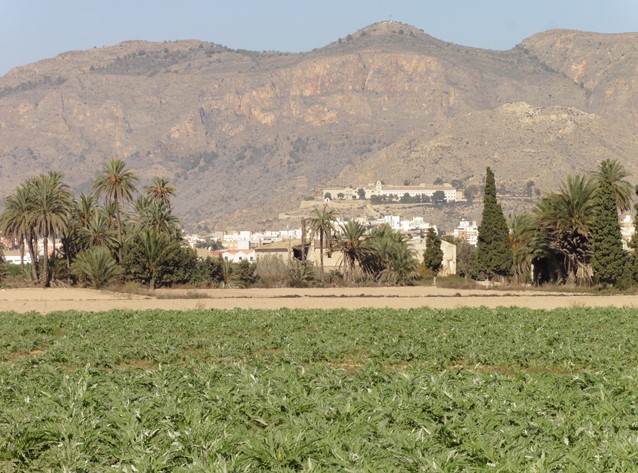 Vista general de Orihuela desde los huertos a los pies de la montaña